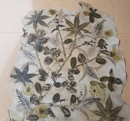 Terpopuler Kulit kambing Ecoprint lembaran model 1