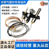 69L17Interchangeable Open Flame with Thermoelectric Element Spare Parts Natural Gas Long Liquefied G