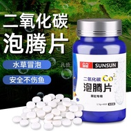 Carbon Dioxide Slow Release Tablets for Fish Tanks, Algae Blooming, Yellow Leaves, and Aquatic Plant