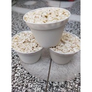 Pot Mini / Pot Instant / pot vanda