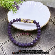 (Wikachiu) 9 eye DZI with future dusk crystal lucky charms bracelet