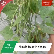 ( 500 Gram ) Benih Biji Buncis Kenya | Buncis Baby | Baby Bean Seeds