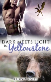 Dark Meets Light in Yellowstone Christy Rivers