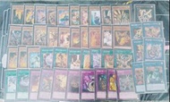 遊戲王轉生炎獸 灰流麗 卡牌組