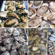 💖💖PROMO HUJUNG TAHUN 💖💖Fresh Seafood Oyster and Lokan Freshly from Kelantan