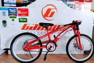 DESERVE 20" VIP DH Disc Bike for 7 to 12 Years Old BDS2025VIP