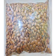 50pcs biji benih durian belanda / soursop seeds