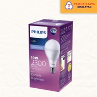 Philips LED 19Watt Cool Daylight