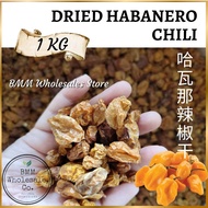Dried Habanero Whole | Dried Habanero Pepper Chili | Habanero Cili Kering - Mexican Habanero