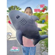 Shark 25 Inches Marshmallow