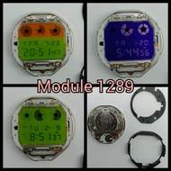 Original Module 1289 For DW6900