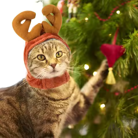 Soft Fabric Pet Antler Headpiece Deer Horns Hat for Dogs Cats Christmas Costume Accessory Antler Hea