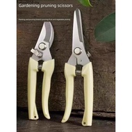 Pruning Shears Branch Shears Gardening Shears Pruning Shears Flower Shears Garden Shears Flower Art 