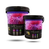 D-D H2Ocean Classic Formula Salt (6.6kg/23kg)