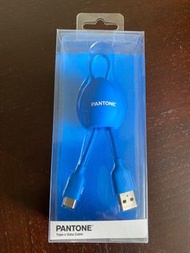 Pantone Type-C 充電短線