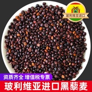 Beras Quinoa Hitam Import Bolivia Quinoa Hitam 1000g Tanpa Saponin Butiran Besar