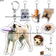 Acrylic Keychain Funny Cute Puppy Meme Puppy Keychain Funny Pet Accessories Bag Keychain