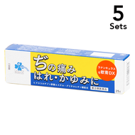 【5個組】【指定第2類藥品】毛茛痔軟膏DX 25g