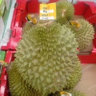 Durian Musang king Asli durian terbaik utuh fresh pics