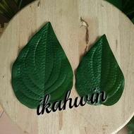 Daun sirih plastik/ Artificial sirih leaf/Daun sireh plastik