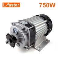 2.56N.m torque 2800rpm 48V 60V 750W Electric 3 wheel bike brushless gear DC motor with throttle hand