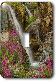 3dRose lsp_191021_1 Usa, Alaska, Glacier Bay Np, Fireweed And Two Waterfall Streams Toggle Switch