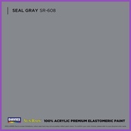 ✳ ℅ ۞ □ DAVIES Sun & Rain Color Pods Paint (250ml) Seal Gray