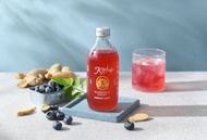 【Kai】有機藍莓薑汁康普茶 330ml*6瓶