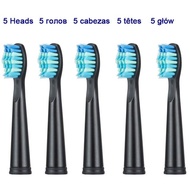 Rechargeable Tooth Brush Heads for Seago Sonic Electric Toothbrush SG-503/507/513/575/551Compatible with Fairwill FW-507