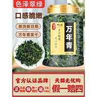 New Product Dried Vegetables Wannianqing 500g Dried Vegetables Dehydrated Dried Vegetables Dried Gre