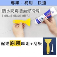 專業 DIY 防水防霉牆面修補膏 牆面修復膏  牆身速補膏 [蘭康保]