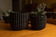 鬼脊系列 | 植木鉢 | 塊根 | 龍舌蘭 | Oni-Ridge-U-9510/1213