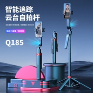 AI Tracking 3-Axis Stabilization Selfie Stick with Dual Fill Light and Remote Control Q185