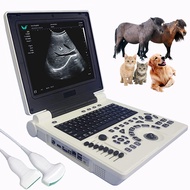 Ultrasound Scanner Veterinary Machine Laptop 12 Inch Portable Black White Doppler Farm Animals Pregnancy Convex Probes, With USB