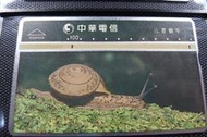 ㊣集卡人㊣中華電信 編號R00R028 小菱蝸牛（光學式電話卡）