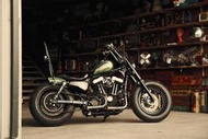 B.W.S custom bike Harley Davidson 48 Frisco Style