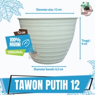 Pot Tawon Putih Ukuran 12 Pot Tanaman Hias Minimalis Budi Jaya Asli Pot Tawon Tanaman Bunga Putih Po