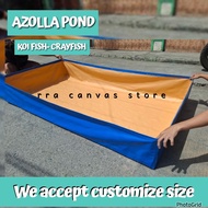 (L:10ft x W:4ft x 1ft) AZOLLA POND FISH TANK SWIMMING