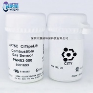 CJ4I 4P75C  Low power methane  gas sensor