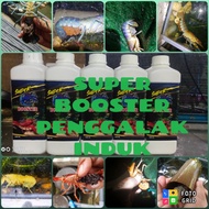 BREEDING/GROWTH ENHANCER- SUPER BOOSTER (IKAN/LOBSTER AIR TAWAR)