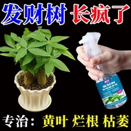 Welcome to Shop, Our Goods Are All Ready stock Like You Can Order Fortune Tree Special Fertilizer Di