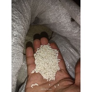 Glutinous Rice / Malagkit