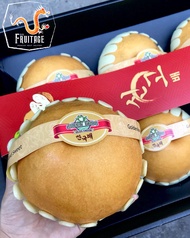 สาลี่หิมะ สาลี่เกาหลี (ยกลัง6-7ลูก/ไซส์3XL) (CHN) ~ลดพิเศษ~ Premium Korean Pears หอม หวาน อร่อย ! Fr