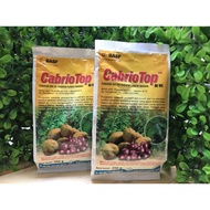 Cabrio Top 60wg 250gr