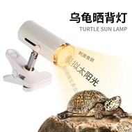 Turtle Climbing Pet Back Light Heating Heating Insulation Sun Light Pet Turtle Dedicated Constant Te
