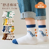 [9.6,000 People Collection] Children's Socks Boys Spring Autumn Mid-Tube Baby Trendy Middle Big Chil