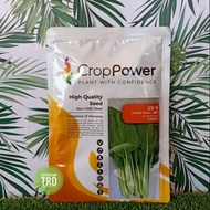 Paket 100g JUMBO GREEN CX 9 Crop Power Biji Benih Sawi F1 Hybrid Caixin Seeds Ready Stock.