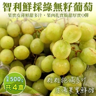 【廚鮮王-宅配】(免)智利綠無籽葡萄4盒x1箱(500g±10%/盒*4盒)