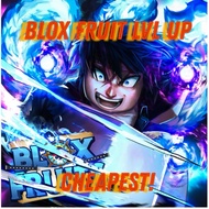 Blox Fruit : Level Up Service