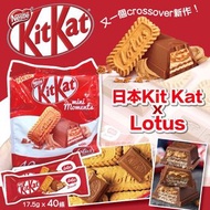 KitKat×Lotus朱古力棒 (1包40入)